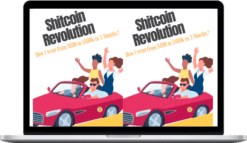 Shitcoin Revolution – How I Went from $100 to $100000 in 3 Months