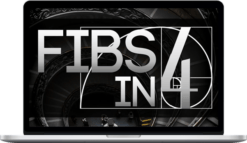 TradeSmart University – Fibs In 4