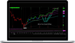 Simpler Trading – Raghee Horner – VWAP Max Tool Package