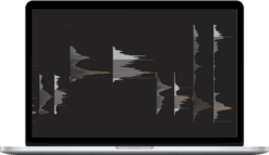 Price Action Volume Trader – Trading with Market and Volume Profile