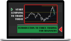 Real Life Investor Courses – Introduction to Forex Trading for Beginners