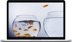 Andrew Menaker – Self Paced Course