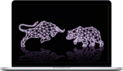 Equinox Financial – Forex Trading Beginner