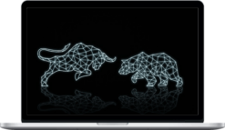 Equinox Financial – Stock Trading Beginner