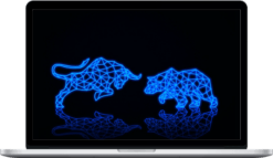 Equinox Financial – Stock Trading Expert