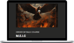 Tammy Chambless – Multiple Entry Iron Condor
