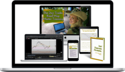 The Trader Chick – The Day Trader Road Map Master Training