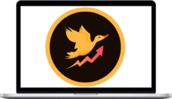 Duck Trading Empire – Duck Trading Course