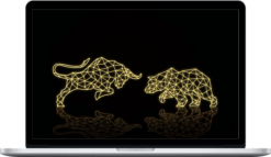 Equinox Financial – Crypto Trading Beginner