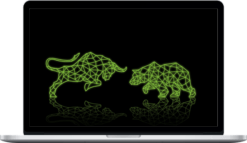 Equinox Financial – Options Trading Beginner