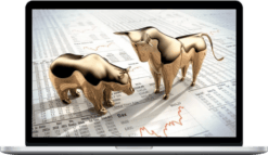 Rich McDonald – The Ultimate Beginners Guide to Investing