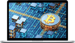 Study Cryptos – Crypto Portfolio Power Plays: Mastering Investment Strategies