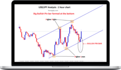 Forex GDP – Basic Forex Course